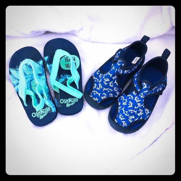 oshkosh shark water shoes